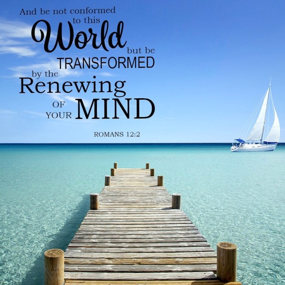 TRANSFORMED- XXL BALLERINA PRESS ON NAILS - Picture 2 of 12